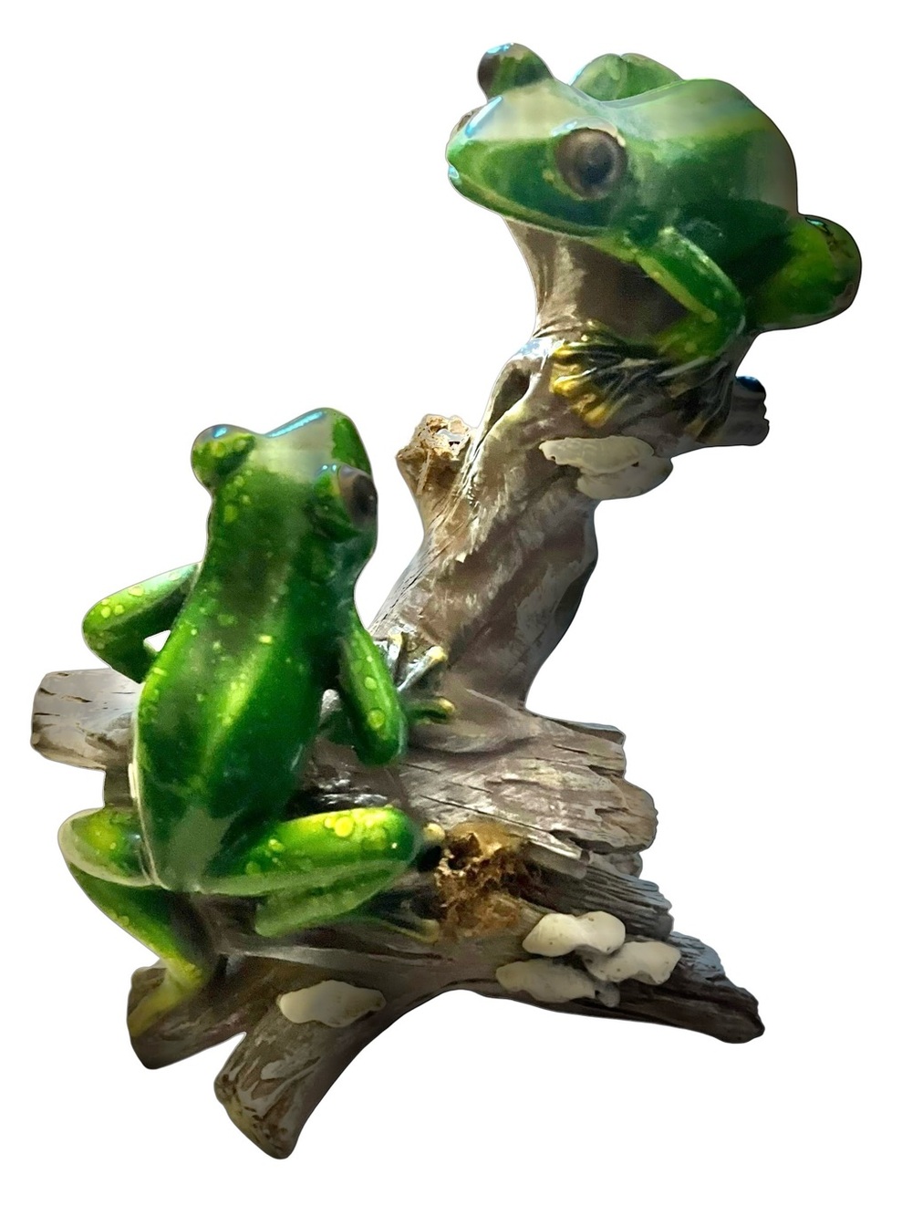 Green Frogs Big Eyes Driftwood Fungus Realistic Resin Rustic Tropical 8”x5” Gift